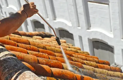 Nettoyage de toitures - Bousse